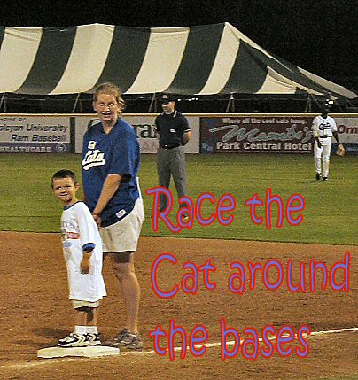 baseball the race